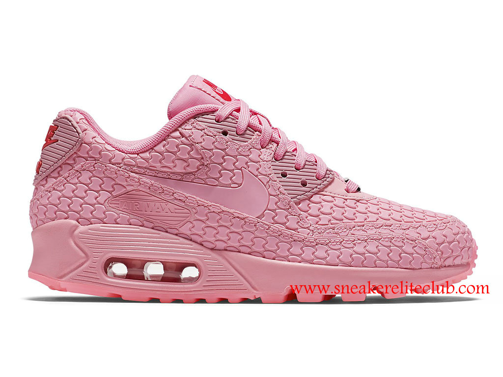 chaussure femmes nike aire max