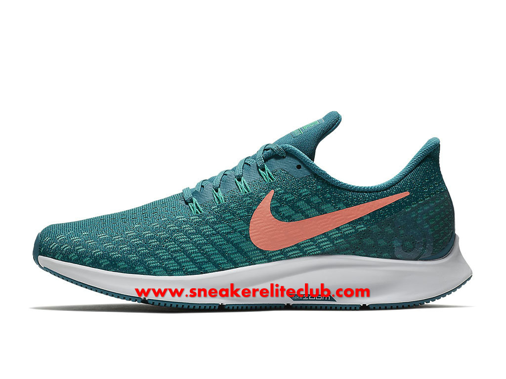 chaussure running homme nike pegasus chaussure running homme nike pegasus