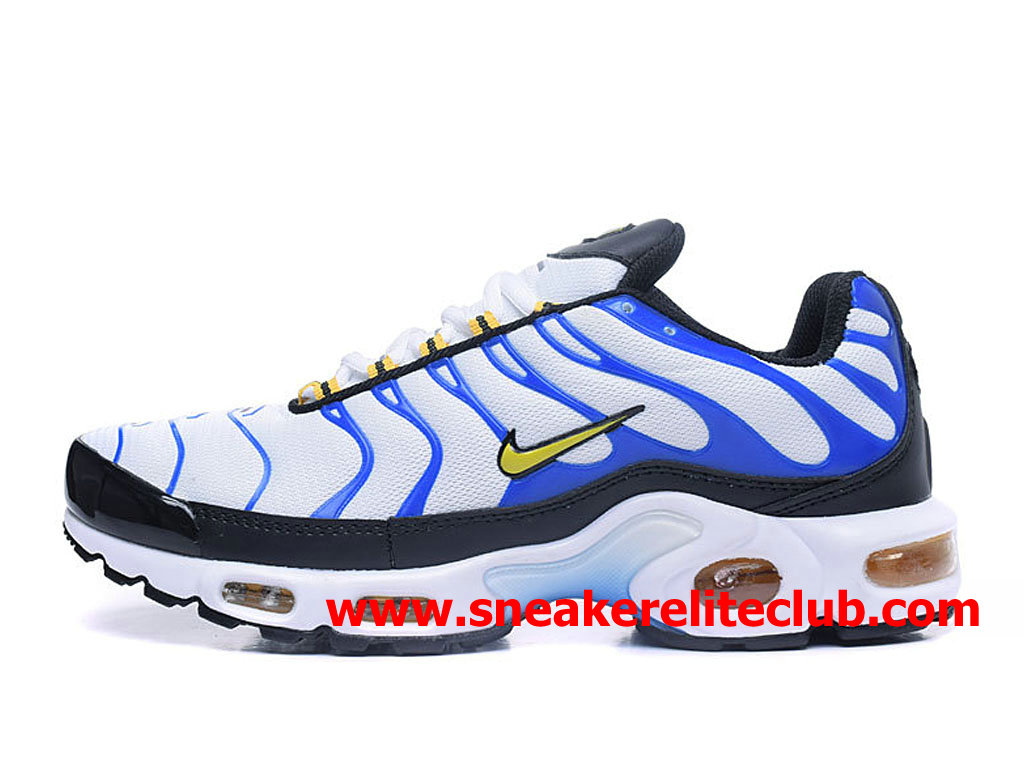 Chaussures Nike Air Max Plus TN Homme Pas Cher Prix Bleu Blanc ...
