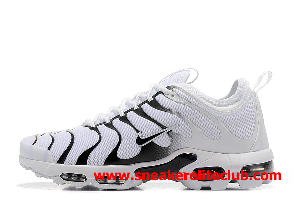 chaussure nike aire max tn