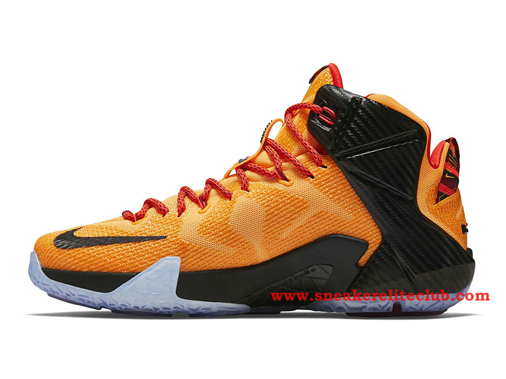 chaussure de basket nike lebron