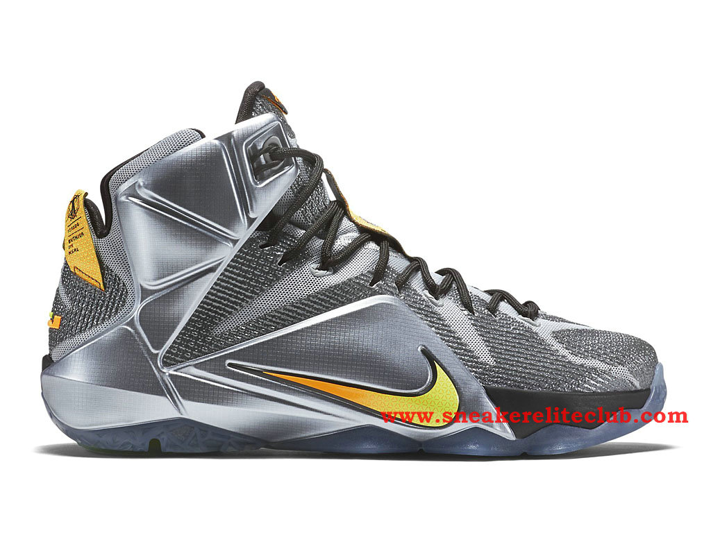 nike lebron 12 noir